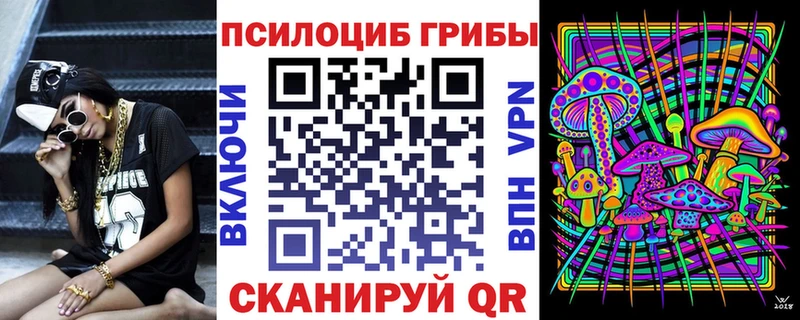 Купить  Верхняя Салда  Галлюциногенные грибы Psilocybe 