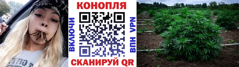 Конопля Bruce Banner Верхняя Салда