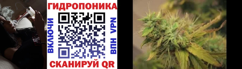 Конопля Bruce Banner  Купить где  Верхняя Салда 
